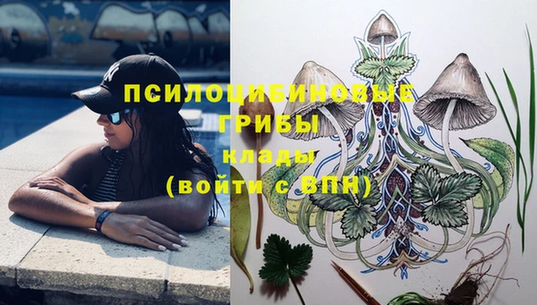 индика Магас