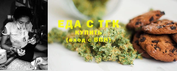 индика Магас