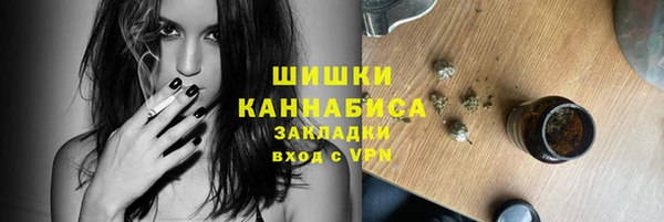 индика Магас