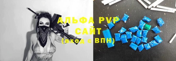 индика Магас
