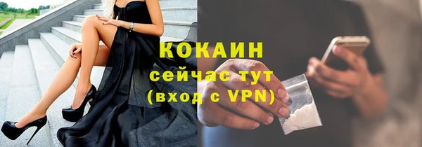 индика Магас