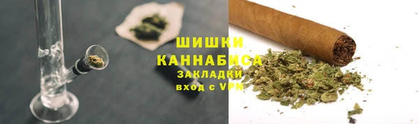 шишки Баксан