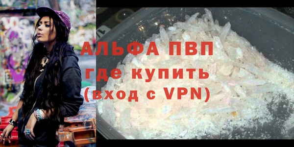 индика Магас