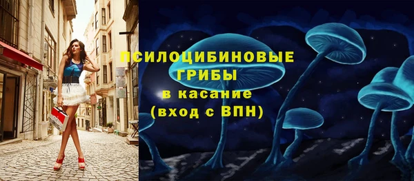 индика Магас
