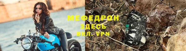 индика Магас
