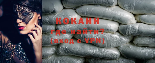 индика Магас