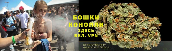 индика Магас