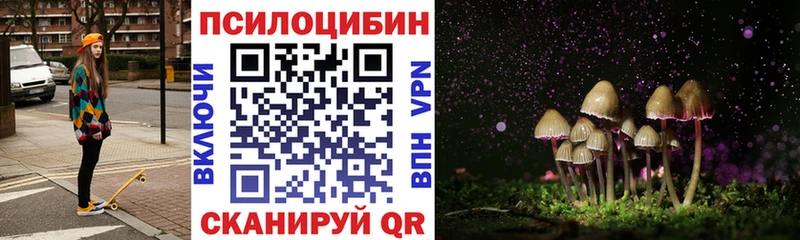 MEGA маркетплейс что такое Жирновск Псилоцибиновые грибы Psilocybine cubensis